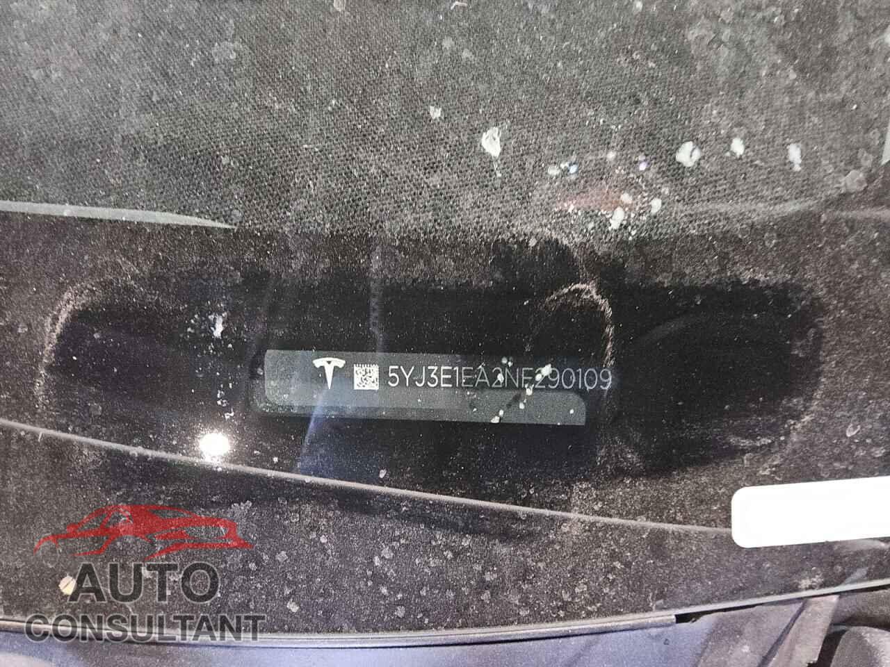 TESLA MODEL 3 2022 - 5YJ3E1EA2NF290109