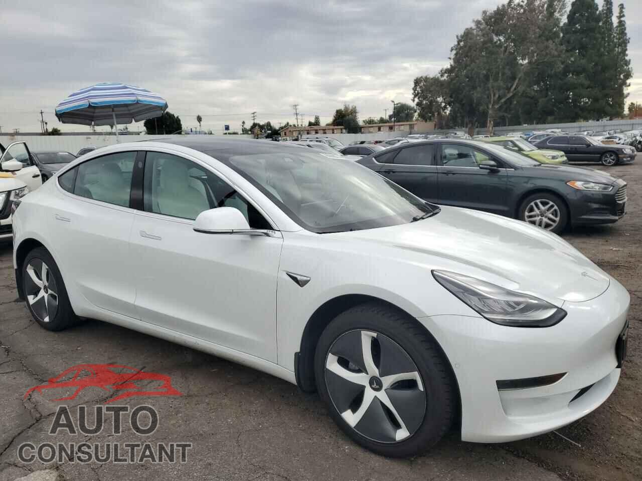 TESLA MODEL 3 2019 - 5YJ3E1EAXKF509393