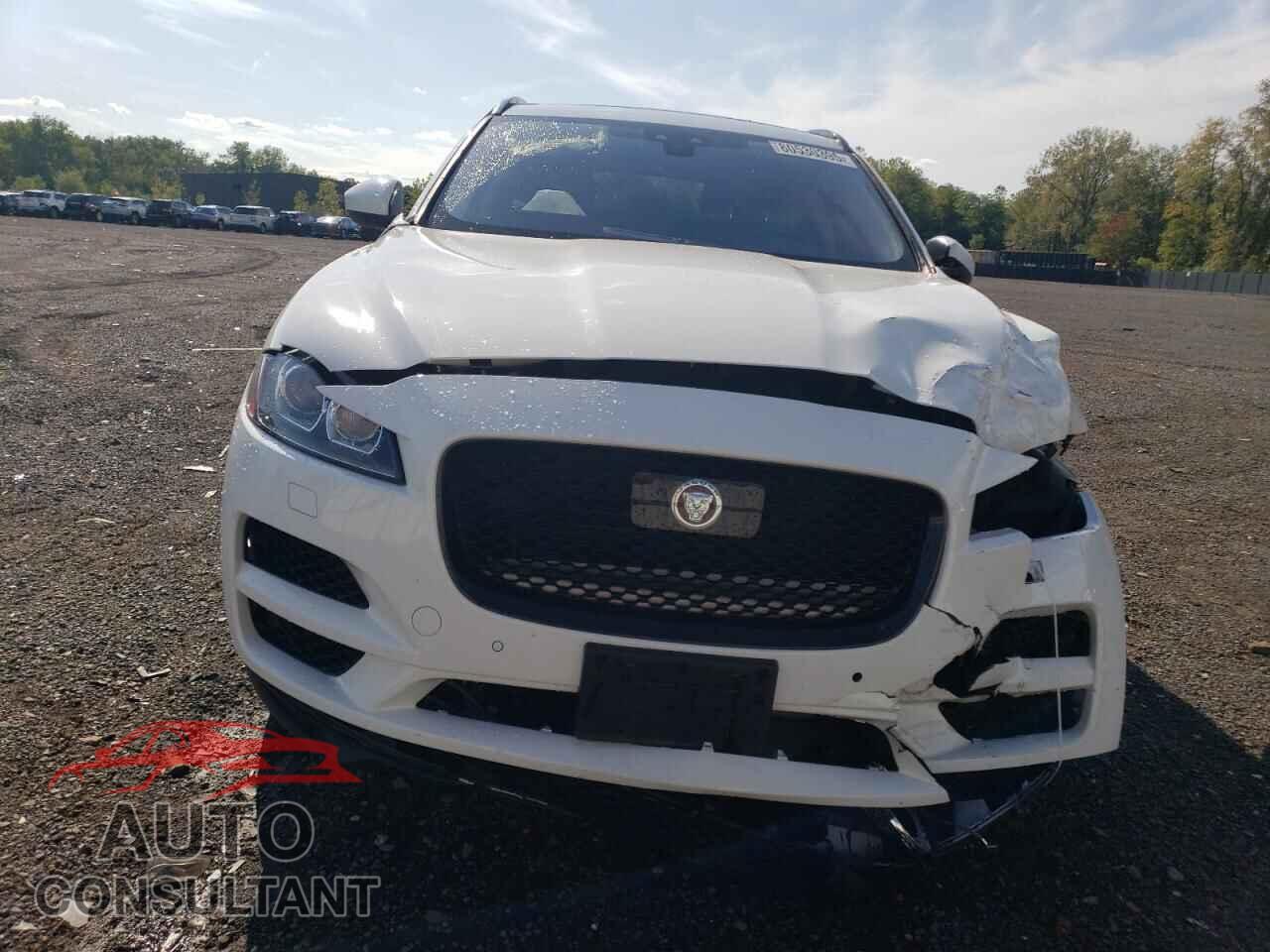 JAGUAR F-PACE 2019 - SADCK2FX7KA353473