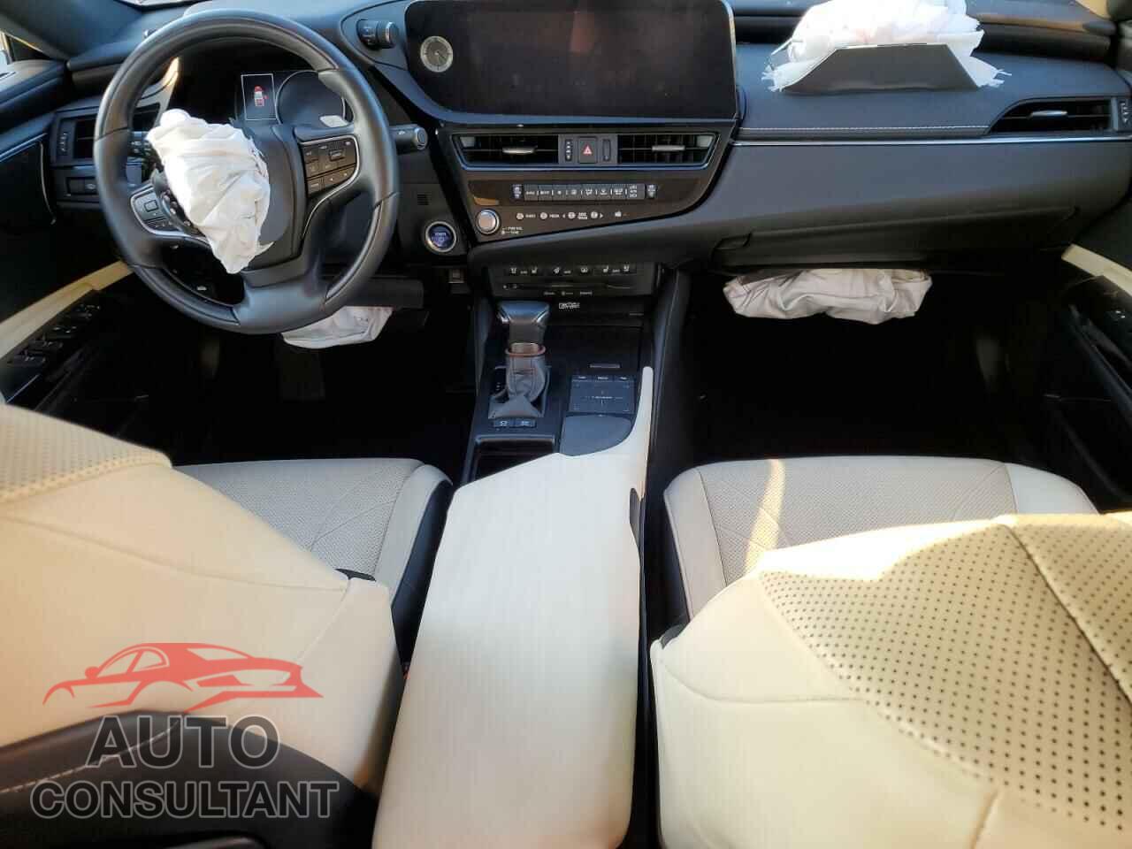 LEXUS ES300 2022 - 58AEA1C19NU025089