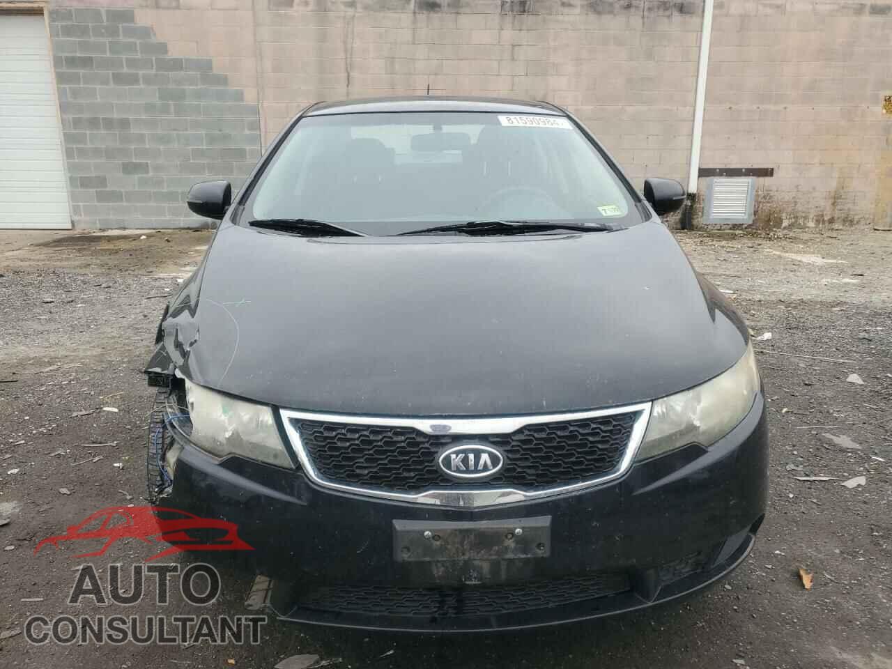 KIA FORTE 2012 - KNAFU4A29C5631064