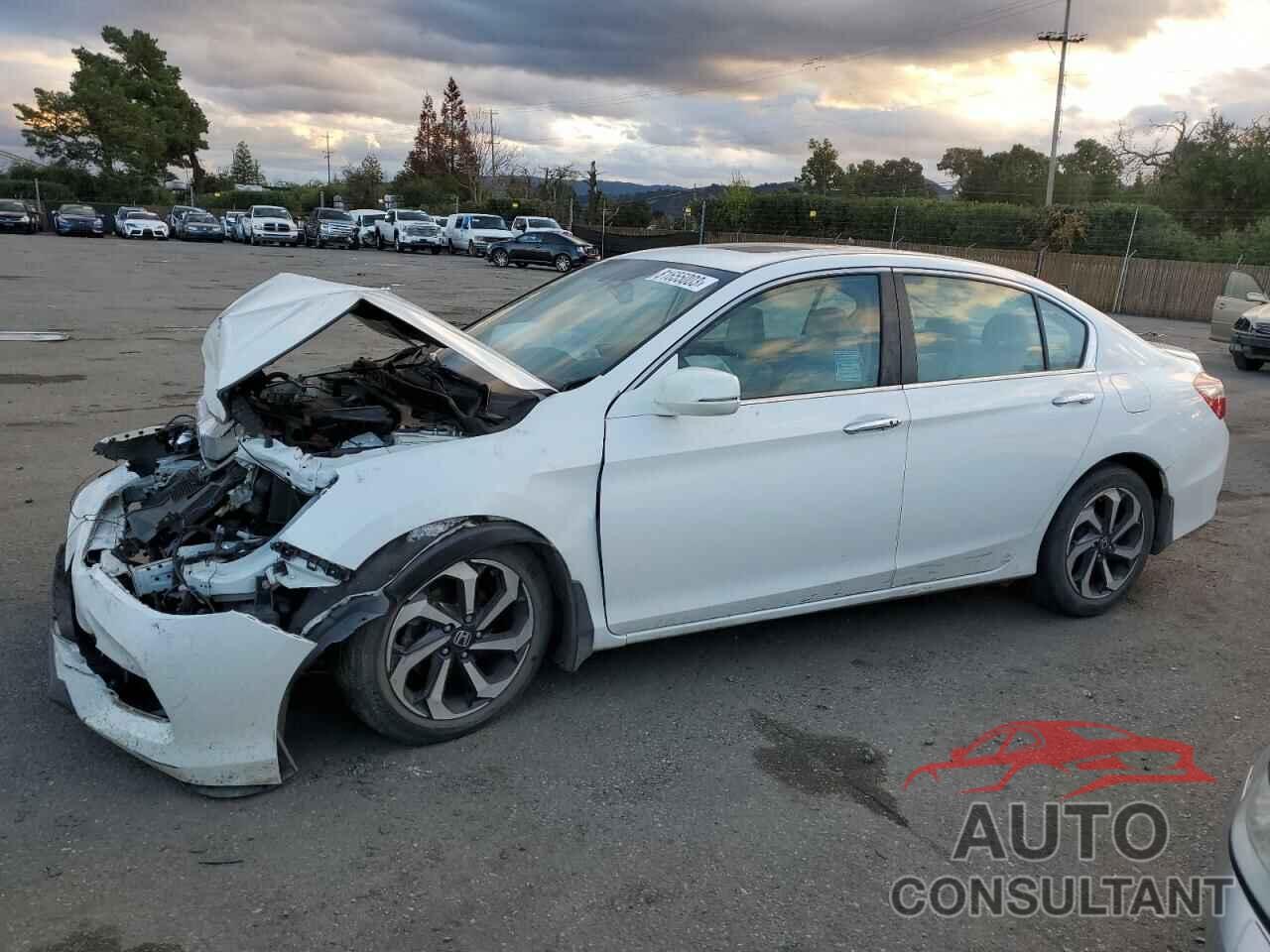 HONDA ACCORD 2016 - 1HGCR2F80GA204489