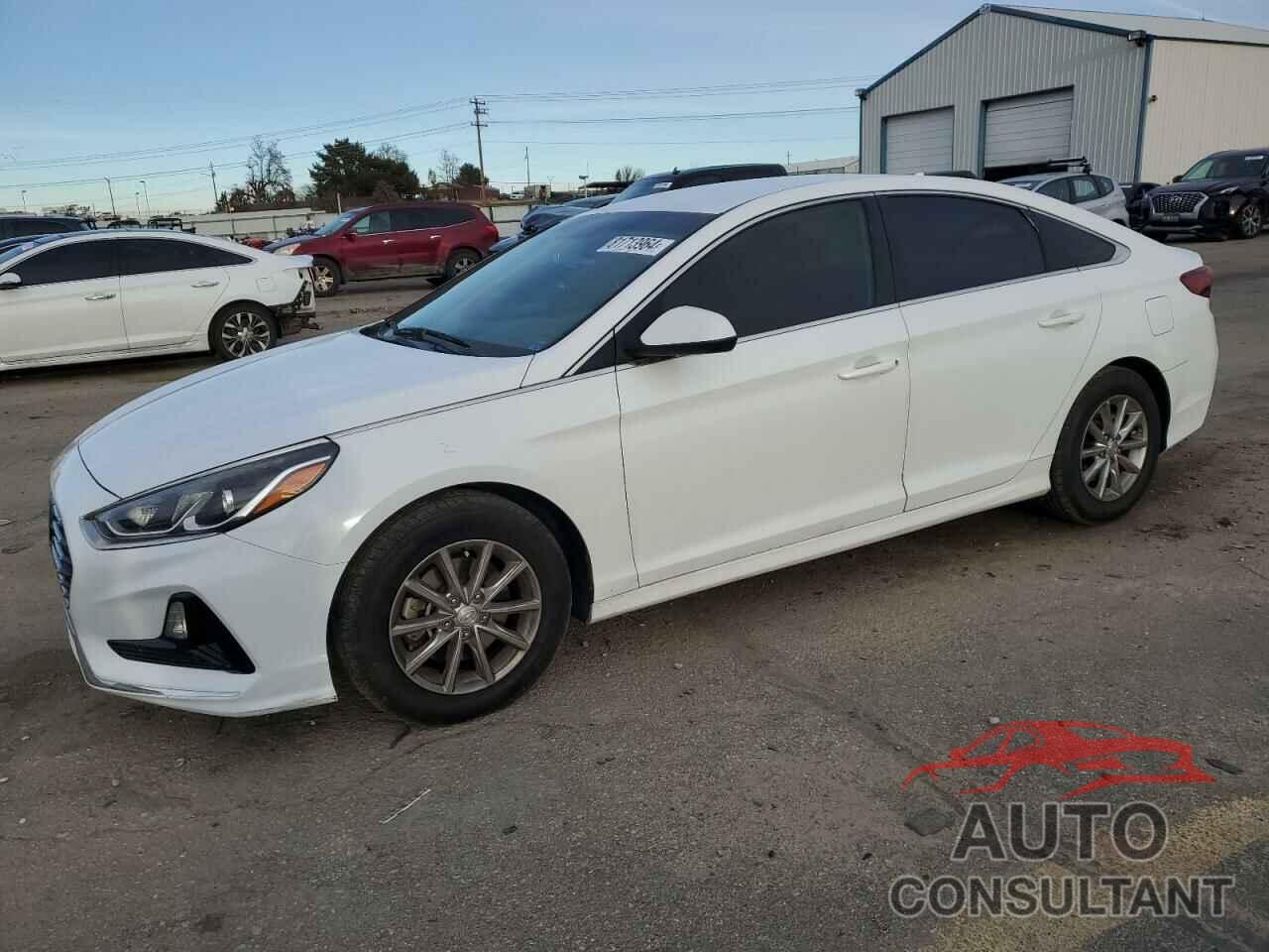 HYUNDAI SONATA 2019 - 5NPE24AF1KH757165