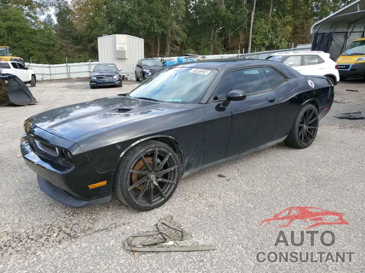 DODGE CHALLENGER 2013 - 2C3CDYAG3DH511591