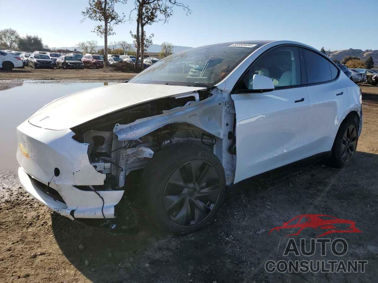 TESLA MODEL Y 2024 - 7SAYGDED5RF117818