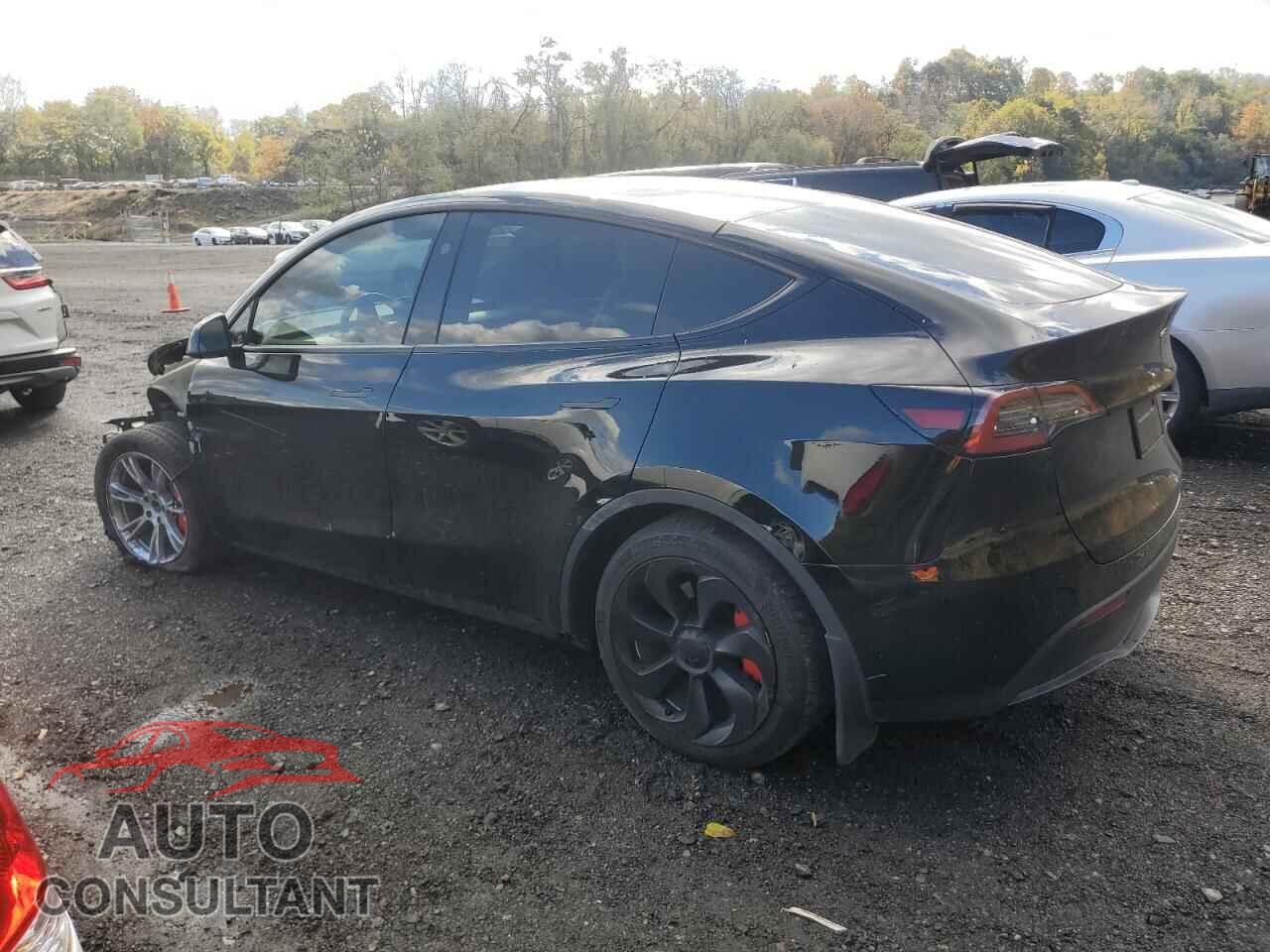 TESLA MODEL Y 2024 - 7SAYGAEE3RF011102