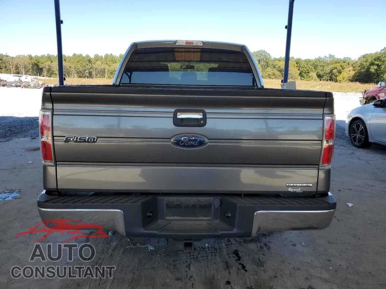 FORD F-150 2013 - 1FTEW1CM4DFD22510