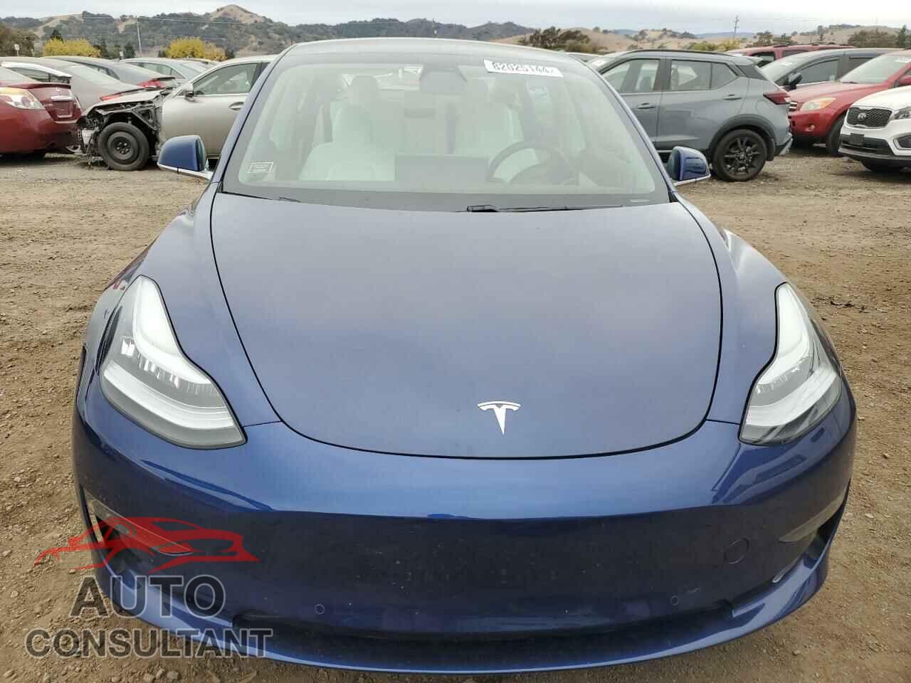 TESLA MODEL 3 2019 - 5YJ3E1EA0KF312393