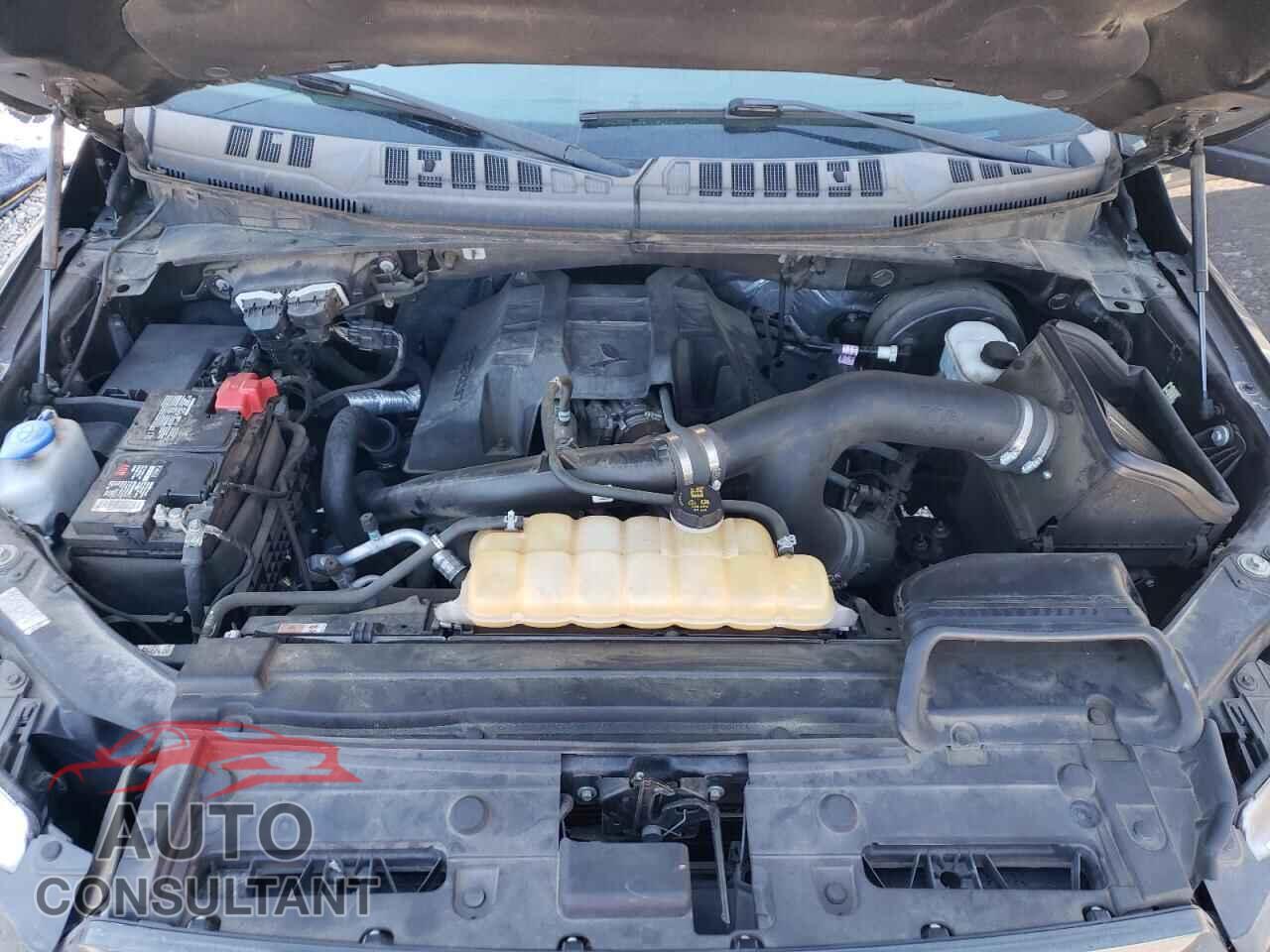 FORD F-150 2017 - 1FTEW1CP3HFB61096