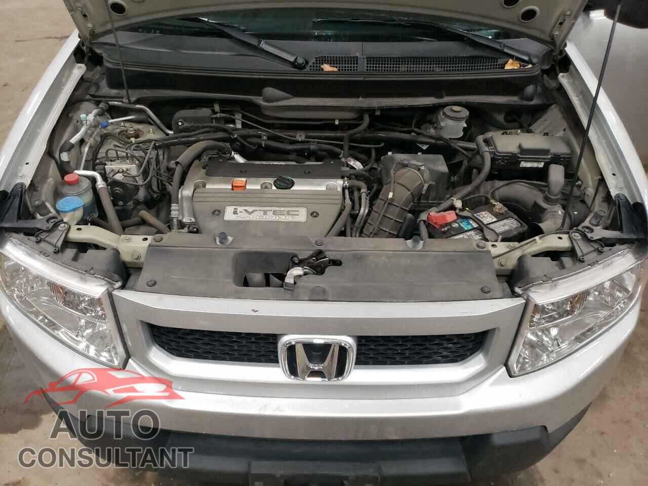 HONDA ELEMENT 2010 - 5J6YH1H70AL005440