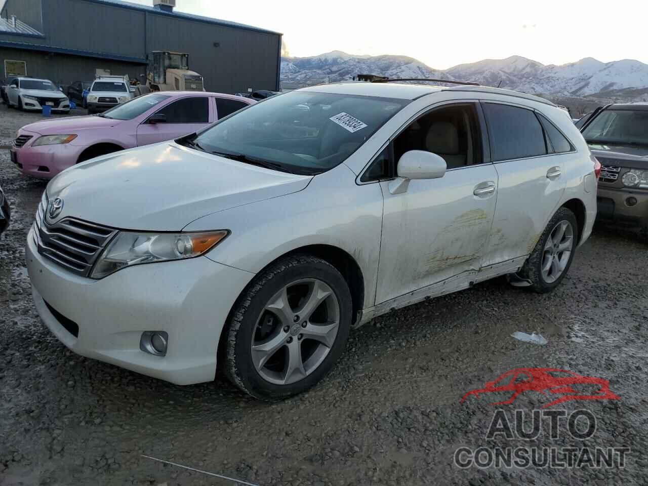 TOYOTA VENZA 2009 - 4T3BK11A39U005945
