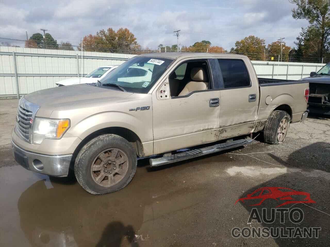 FORD F-150 2010 - 1FTFW1CV0AFD39622