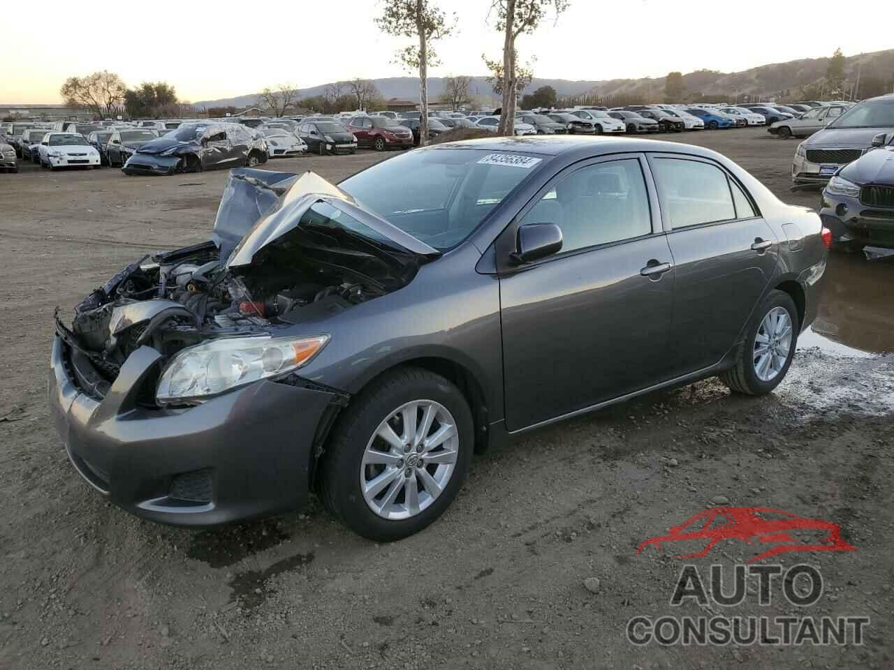 TOYOTA COROLLA 2009 - JTDBL40E399081510