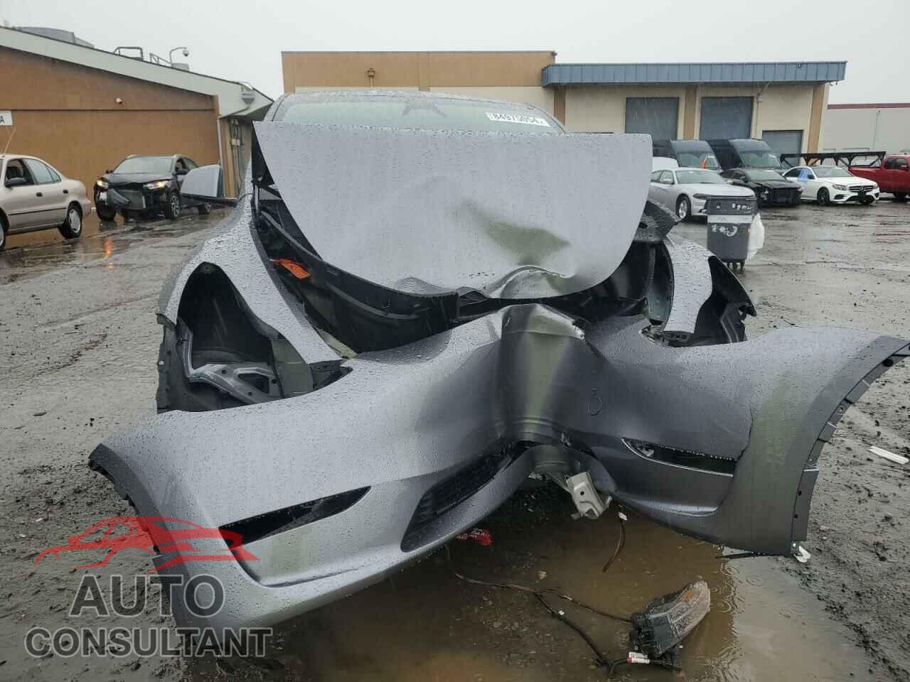 TESLA MODEL Y 2025 - 7SAYGDEF8SF264738