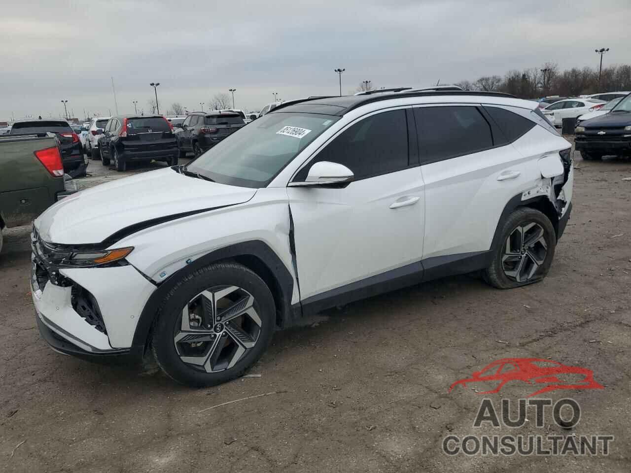 HYUNDAI TUCSON 2024 - 5NMJE3DE7RH362143