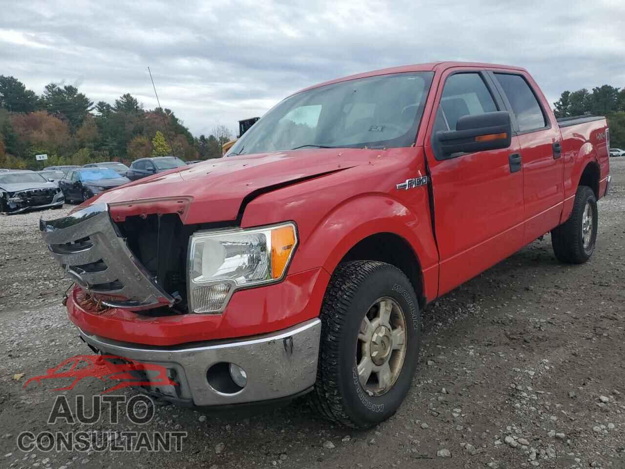 FORD F-150 2010 - 1FTEW1E86AFA49744
