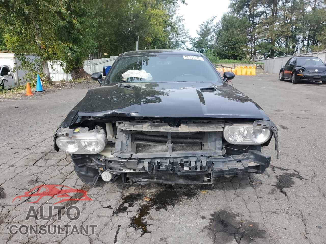 DODGE CHALLENGER 2014 - 2C3CDYBT3EH302333