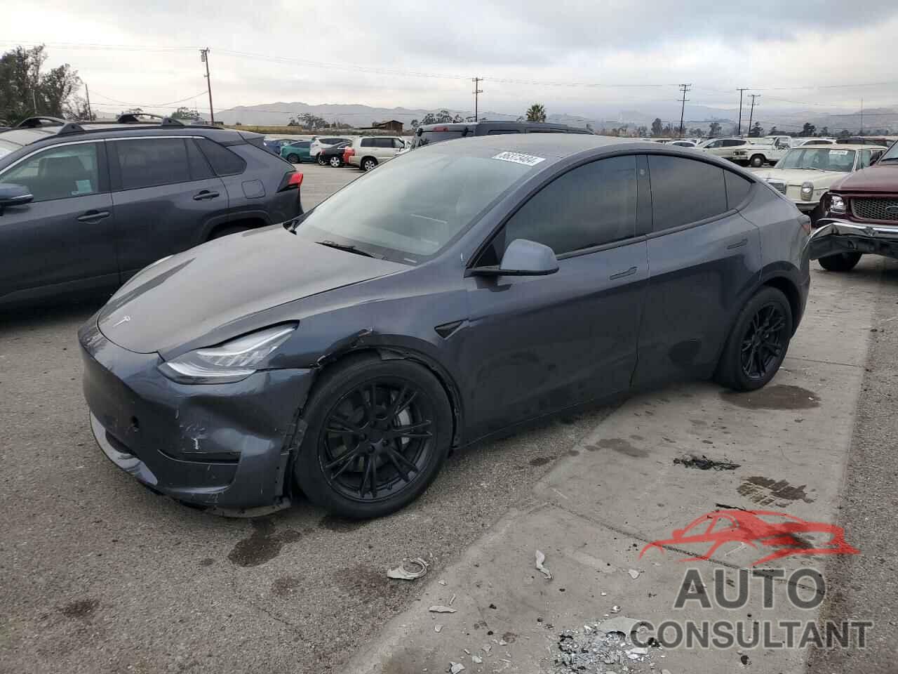 TESLA MODEL Y 2021 - 5YJYGDEE6MF253986