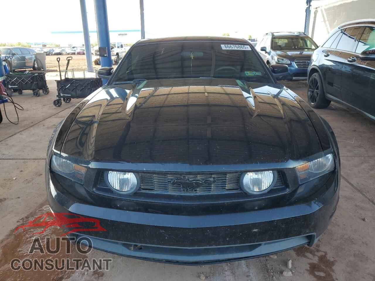 FORD MUSTANG 2010 - 1ZVBP8CH2A5150357
