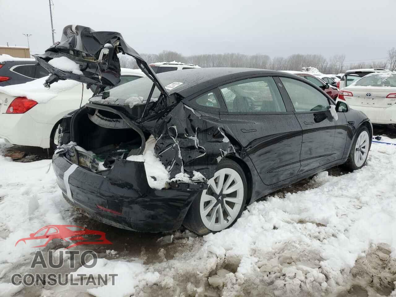 TESLA MODEL 3 2023 - 5YJ3E1EA3PF382817