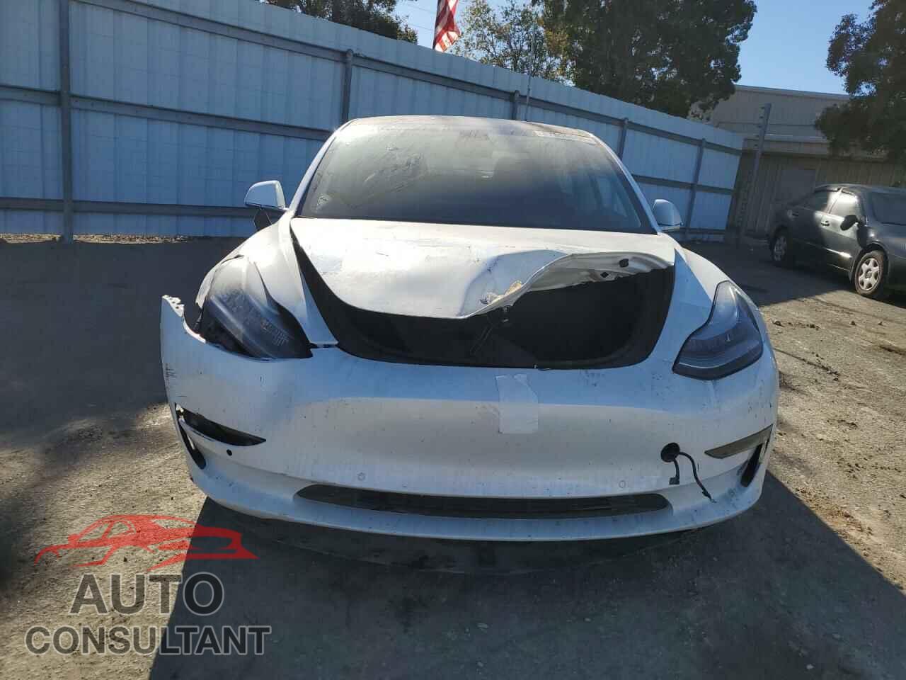 TESLA MODEL 3 2019 - 5YJ3E1EB0KF213016