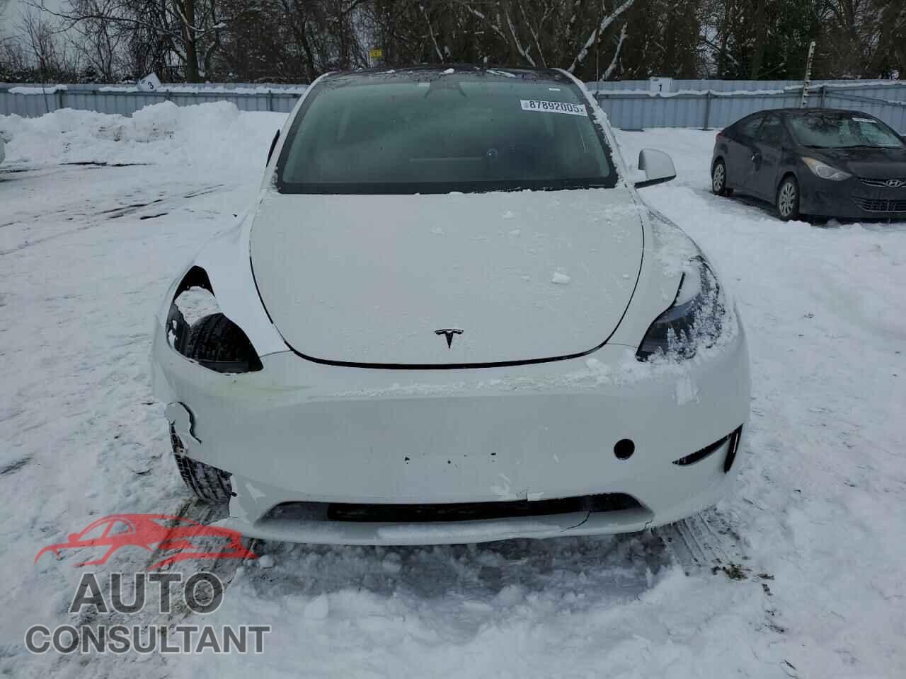 TESLA MODEL Y 2023 - LRWYGDEE3PC106989