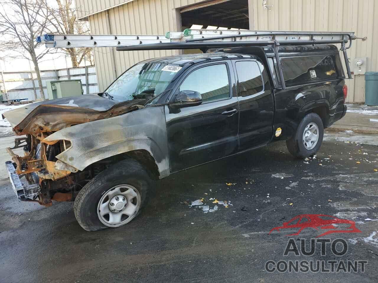 TOYOTA TACOMA 2023 - 3TYRZ5CN9PT033849