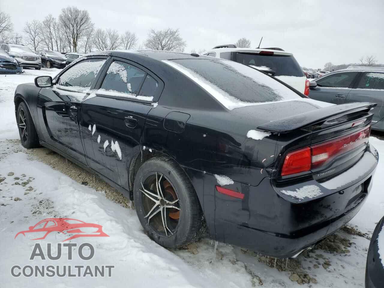 DODGE CHARGER 2014 - 2C3CDXCT6EH359876
