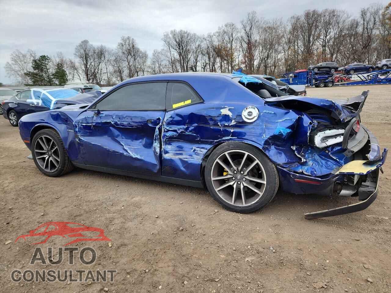 DODGE CHALLENGER 2020 - 2C3CDZBT9LH203454