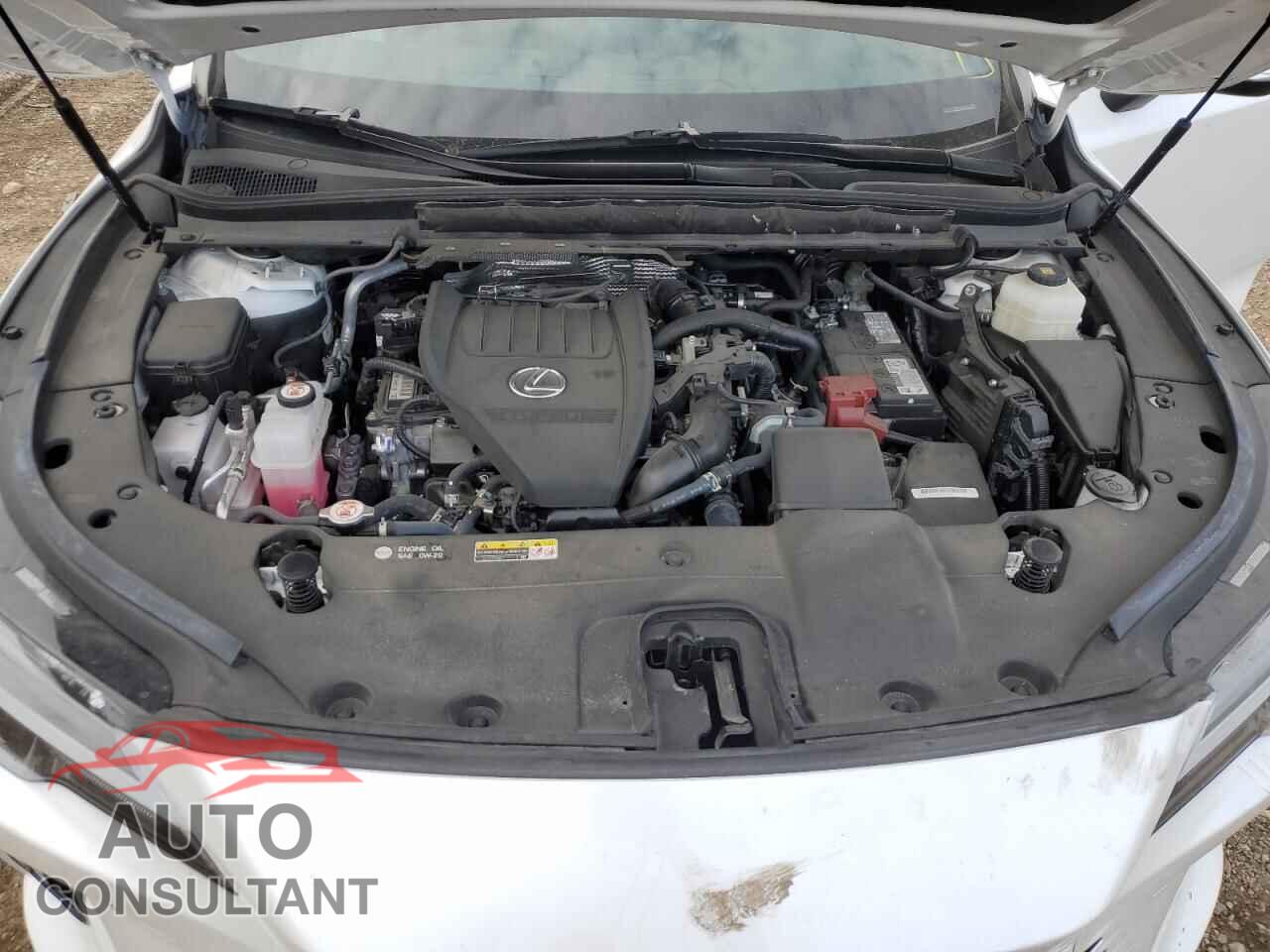 LEXUS RX350 2023 - 2T2BAMBA9PC011271