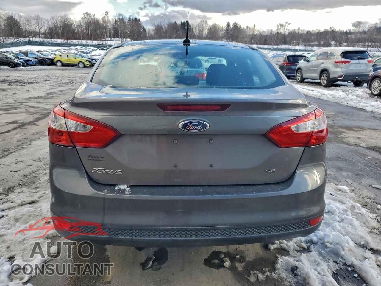 FORD FOCUS 2014 - 1FADP3F29EL445842