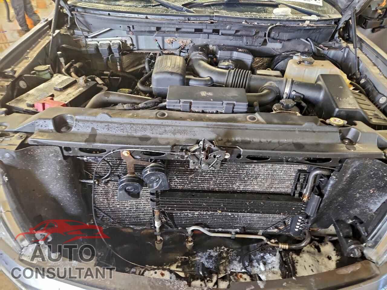FORD F-150 2009 - 1FTPW14V19FA11236