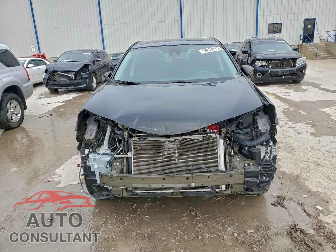 TOYOTA RAV4 2017 - 2T3BFREV4HW673350