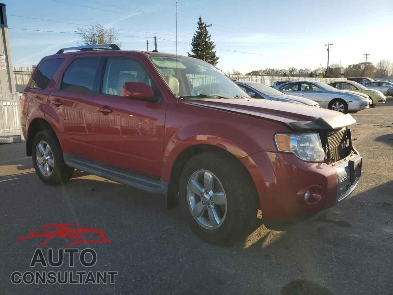 FORD ESCAPE 2011 - 1FMCU9EG7BKC04468