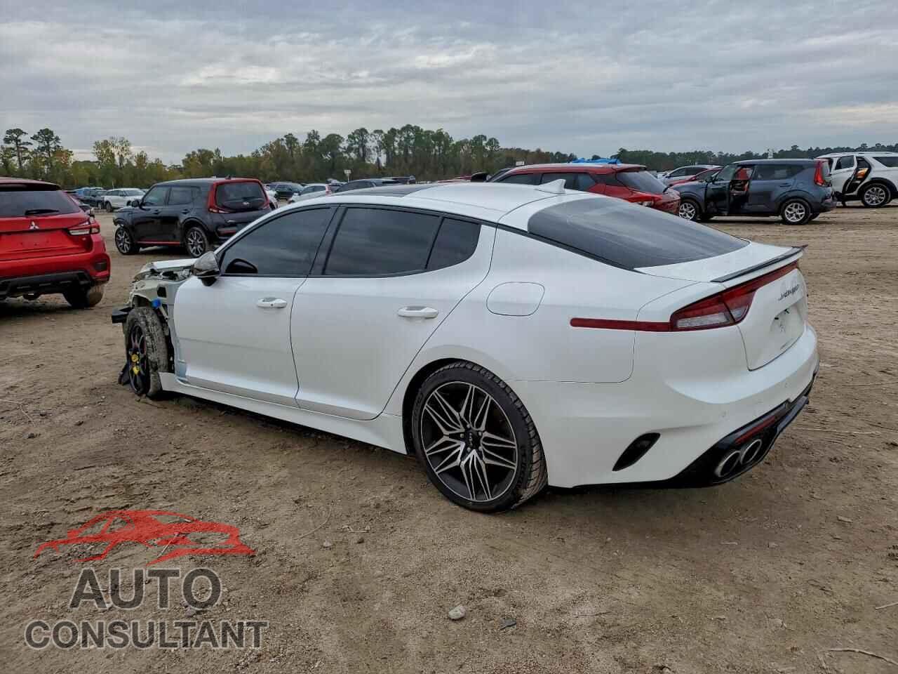 KIA STINGER 2022 - KNAE45LC6N6102255