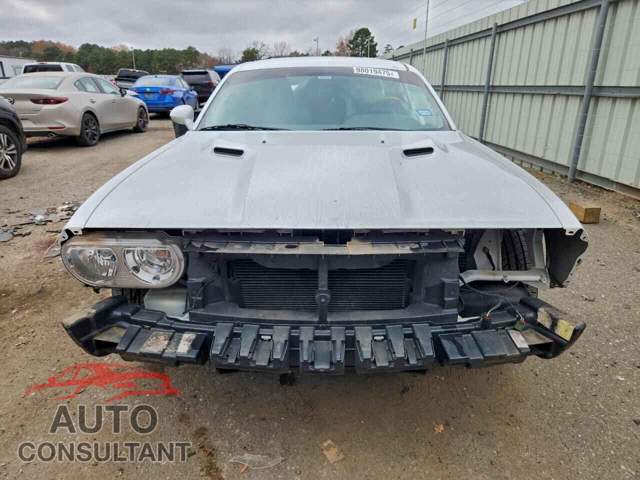 DODGE CHALLENGER 2013 - 2C3CDYAG6DH669956