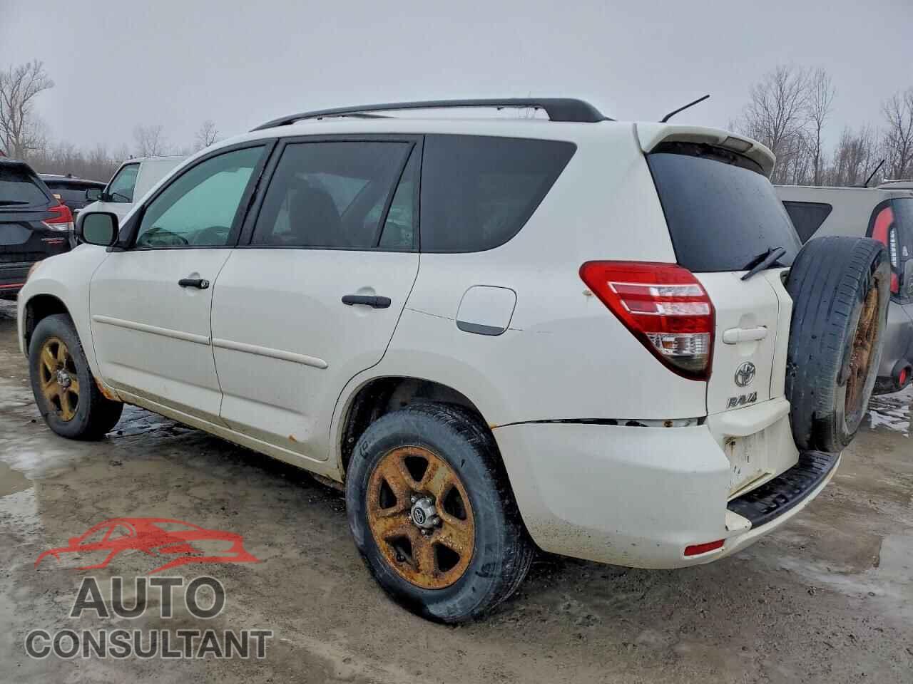 TOYOTA RAV4 2011 - 2T3BF4DV3BW087248