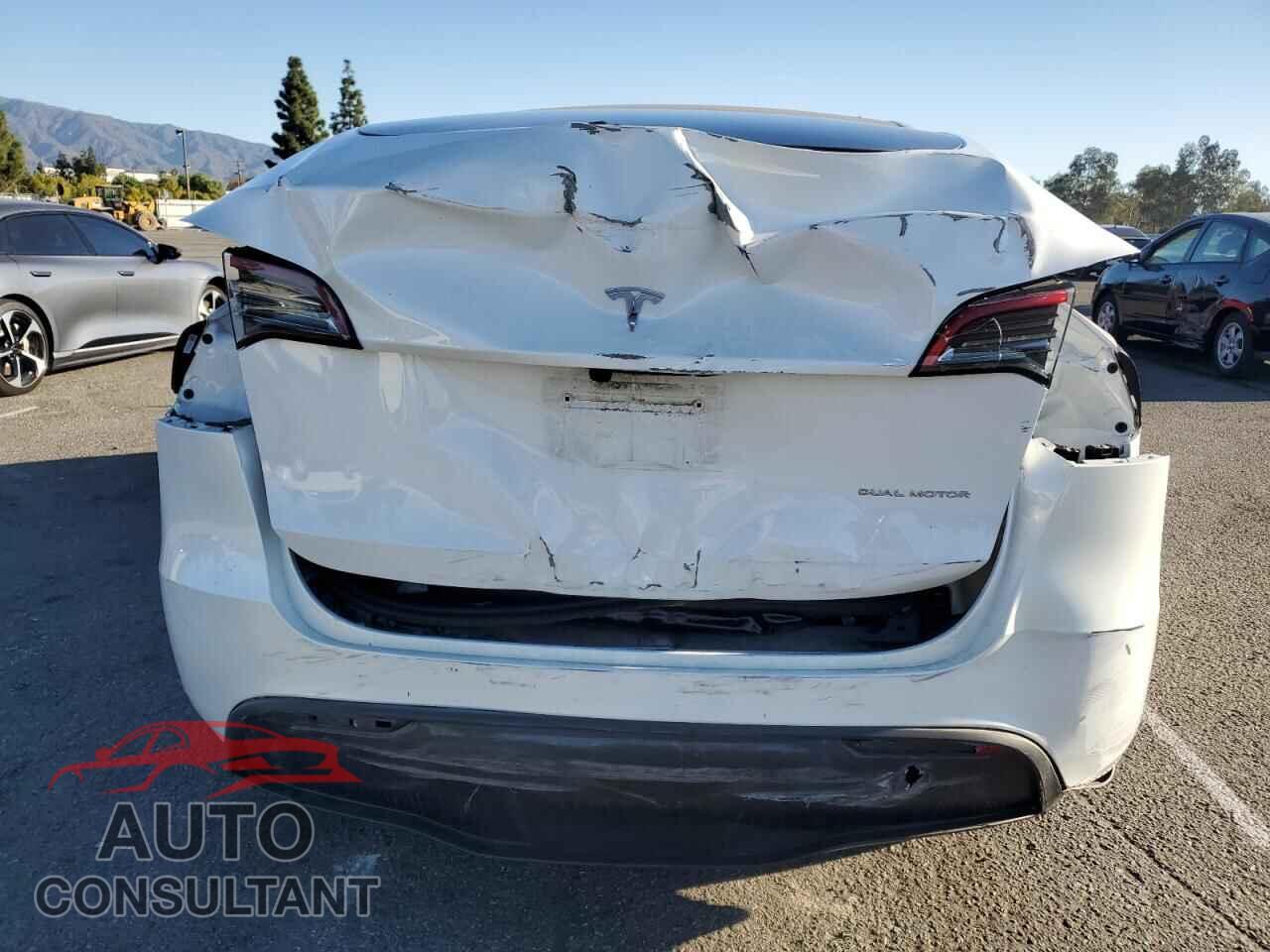 TESLA MODEL Y 2024 - 7SAYGDEE0RF062056