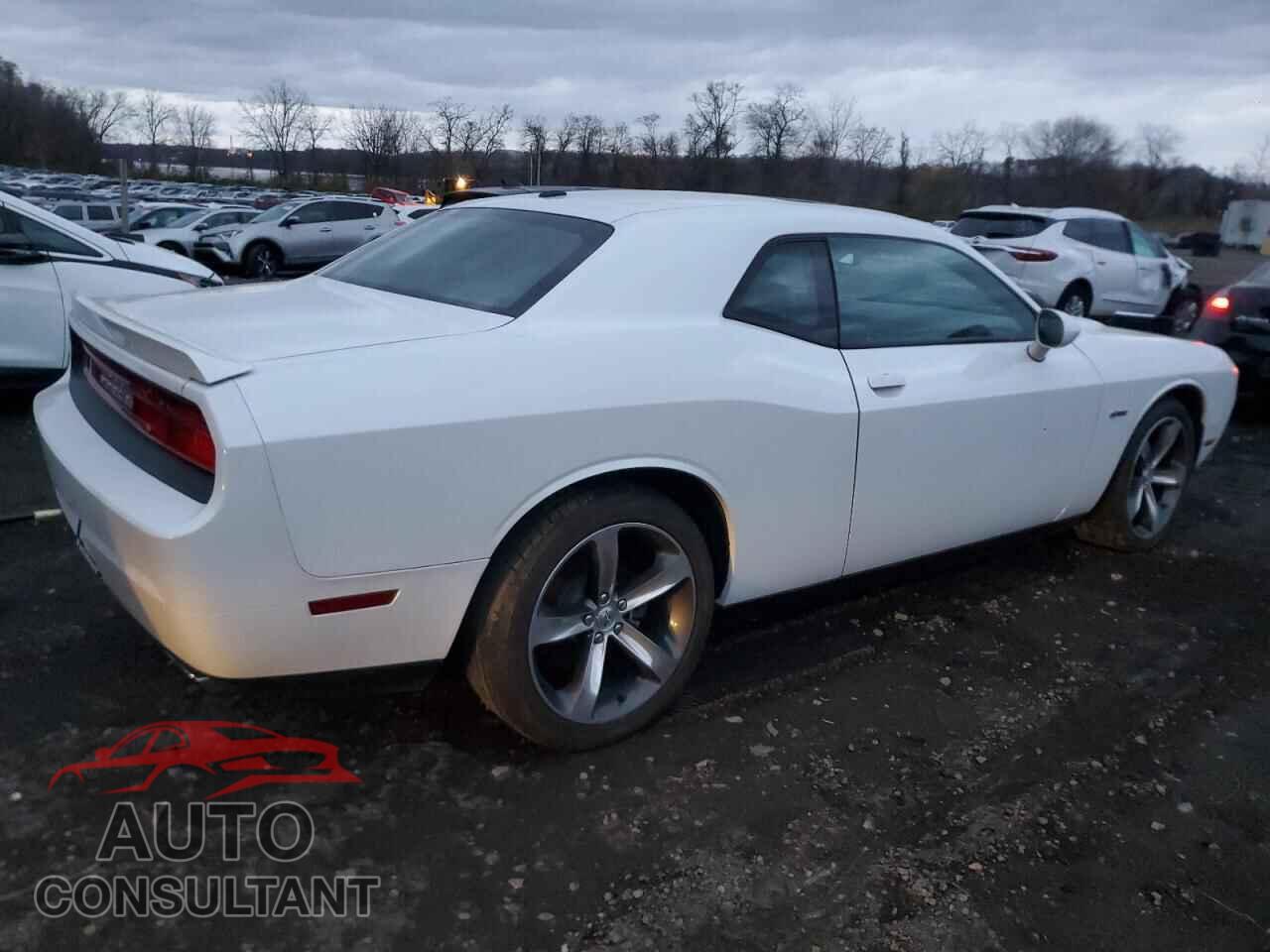 DODGE CHALLENGER 2014 - 2C3CDYBT9EH247693