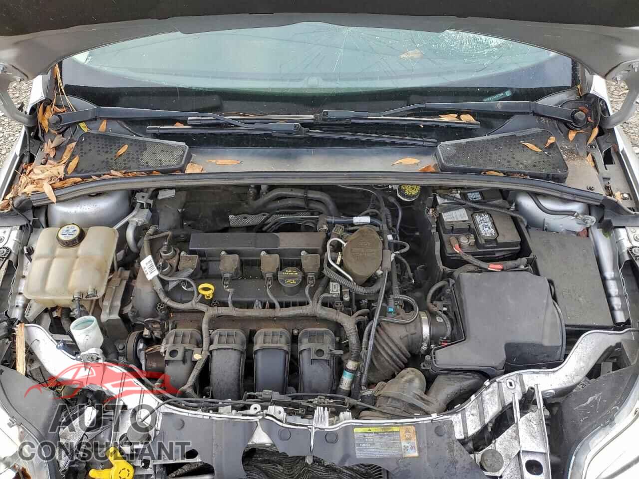 FORD FOCUS 2012 - 1FAHP3F21CL372948