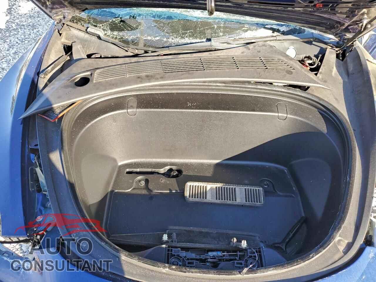 TESLA MODEL 3 2019 - 5YJ3E1EA2KF431739