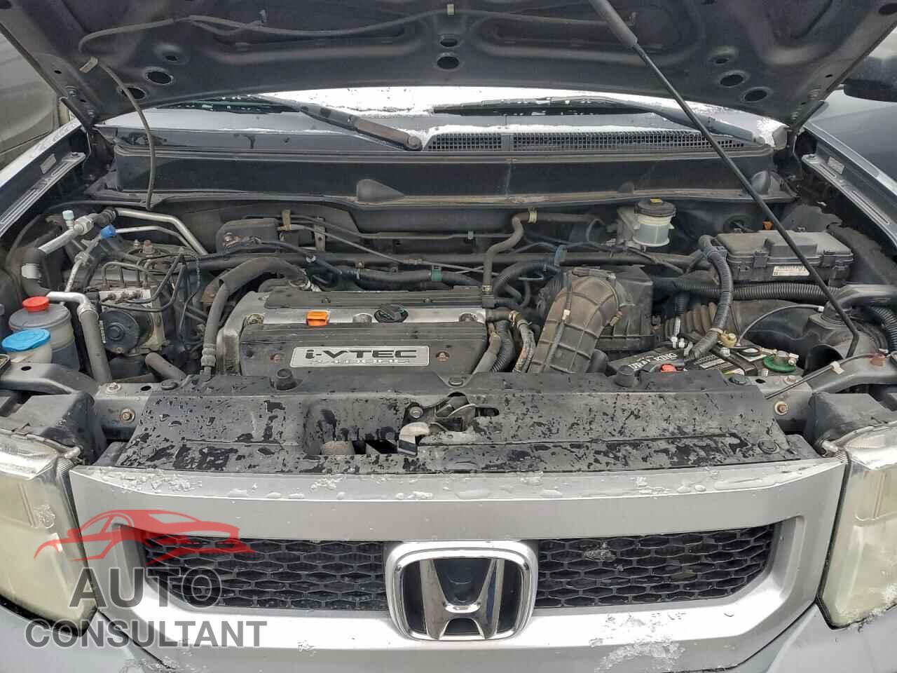 HONDA ELEMENT 2011 - 5J6YH2H37BL002121