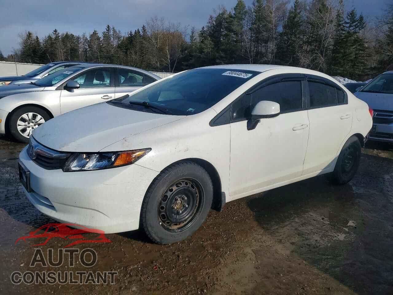 HONDA CIVIC 2012 - 2HGFB2F44CH043185
