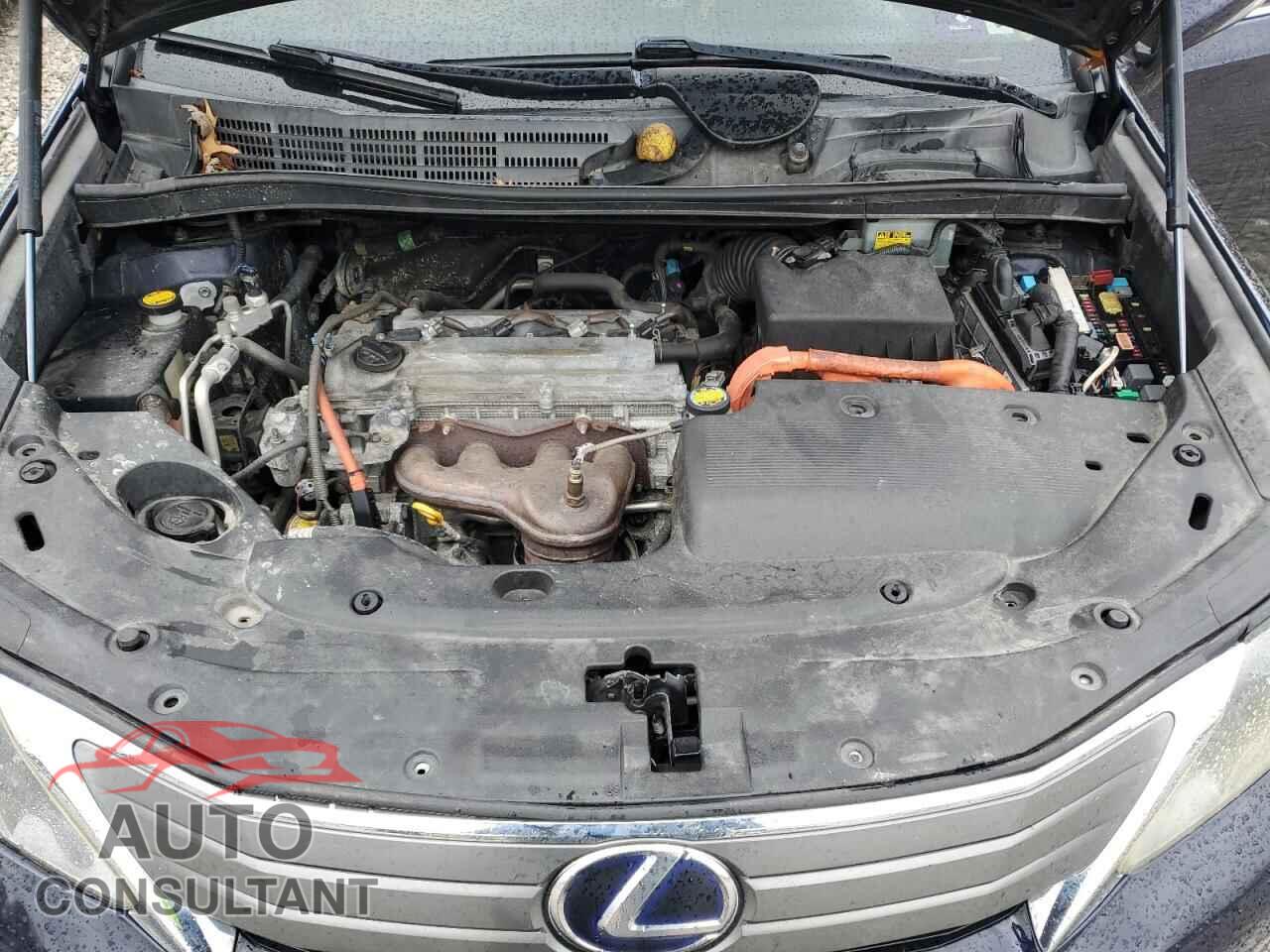 LEXUS HS 2010 - JTHBB1BA7A2000791