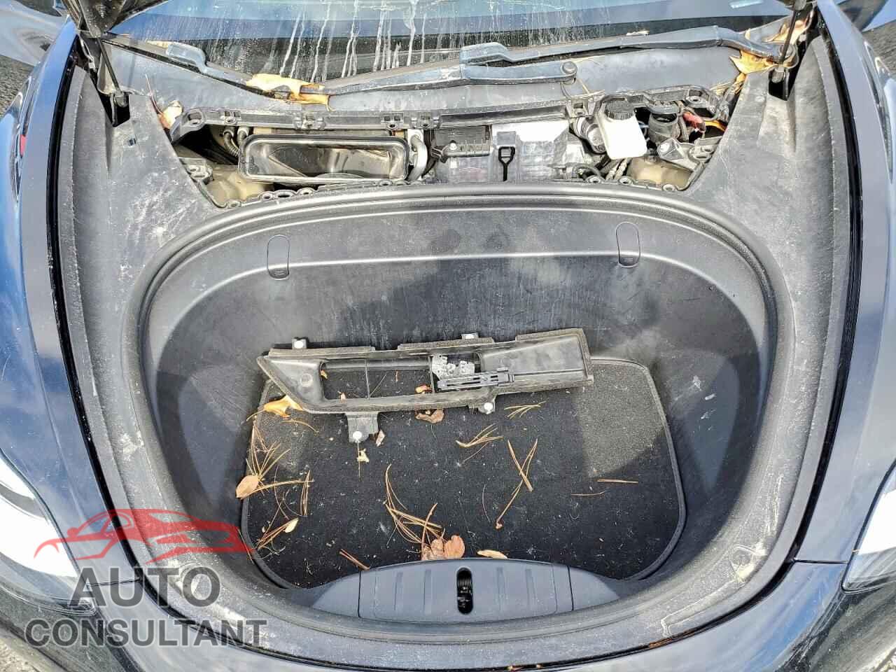 TESLA MODEL 3 2019 - 5YJ3E1EBXKF192580