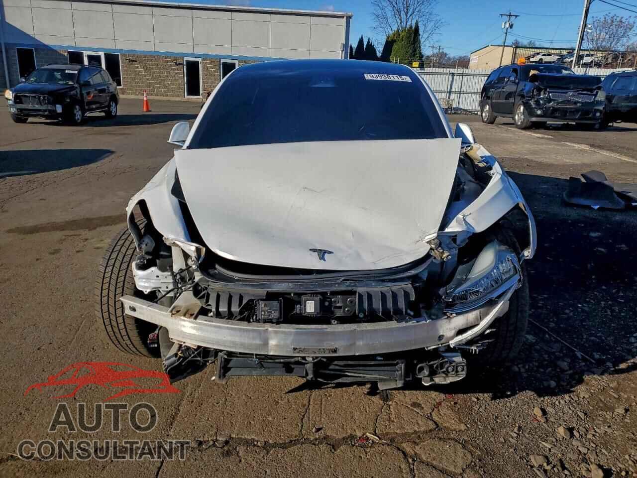 TESLA MODEL 3 2019 - 5YJ3E1EB9KF213595