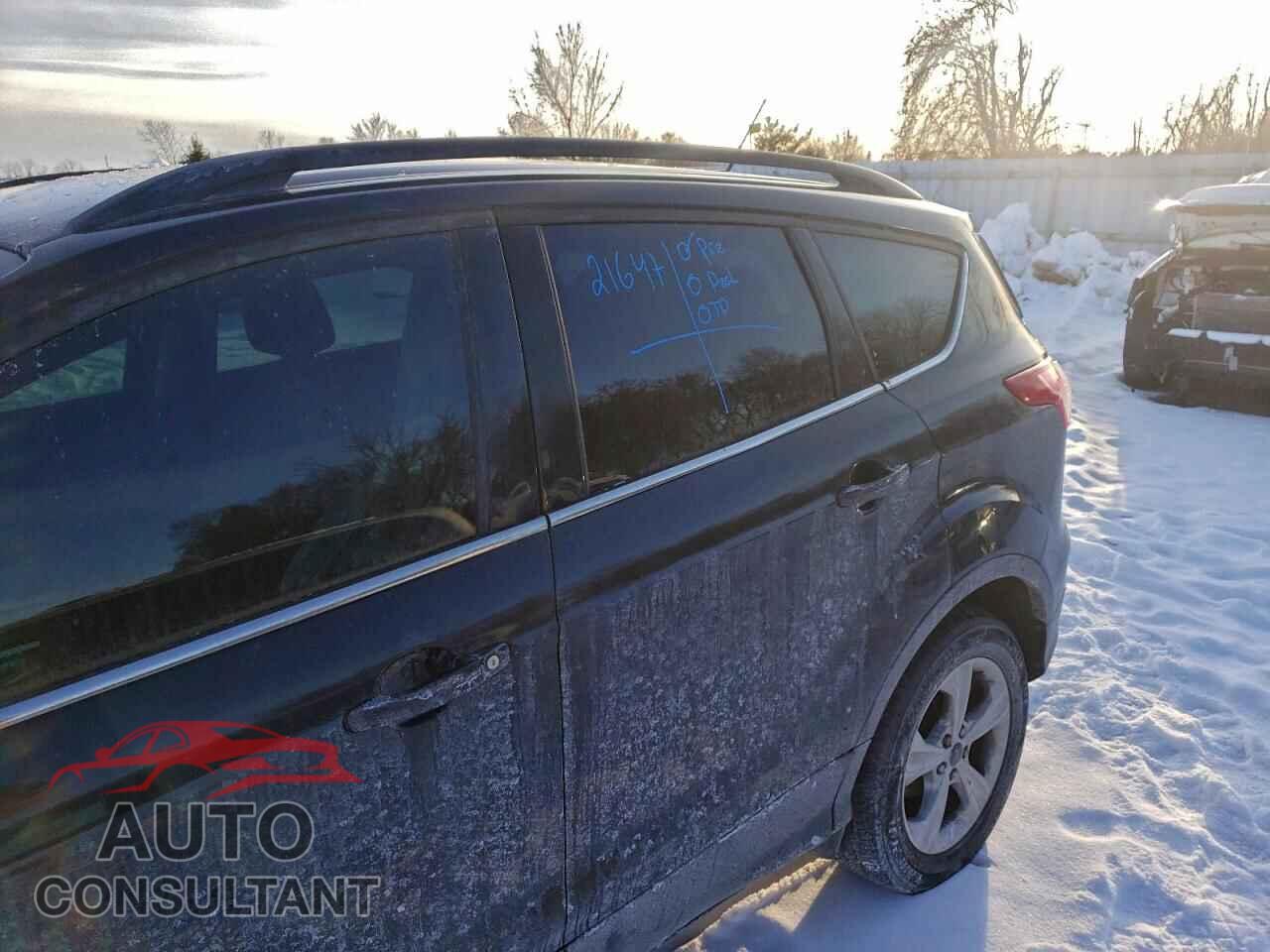 FORD ESCAPE 2014 - 1FMCU9G90EUE30309
