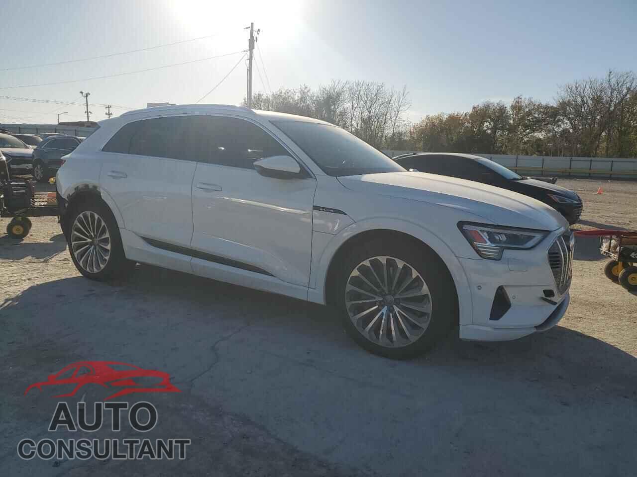 AUDI E-TRON 2019 - WA1VABGEXKB011296