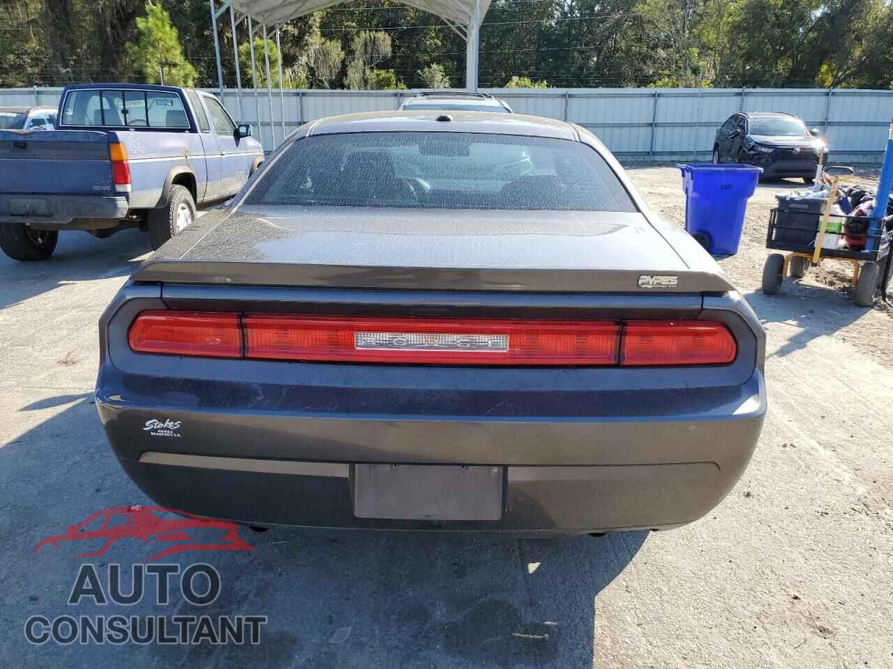 DODGE CHALLENGER 2013 - 2C3CDYAG0DH641506
