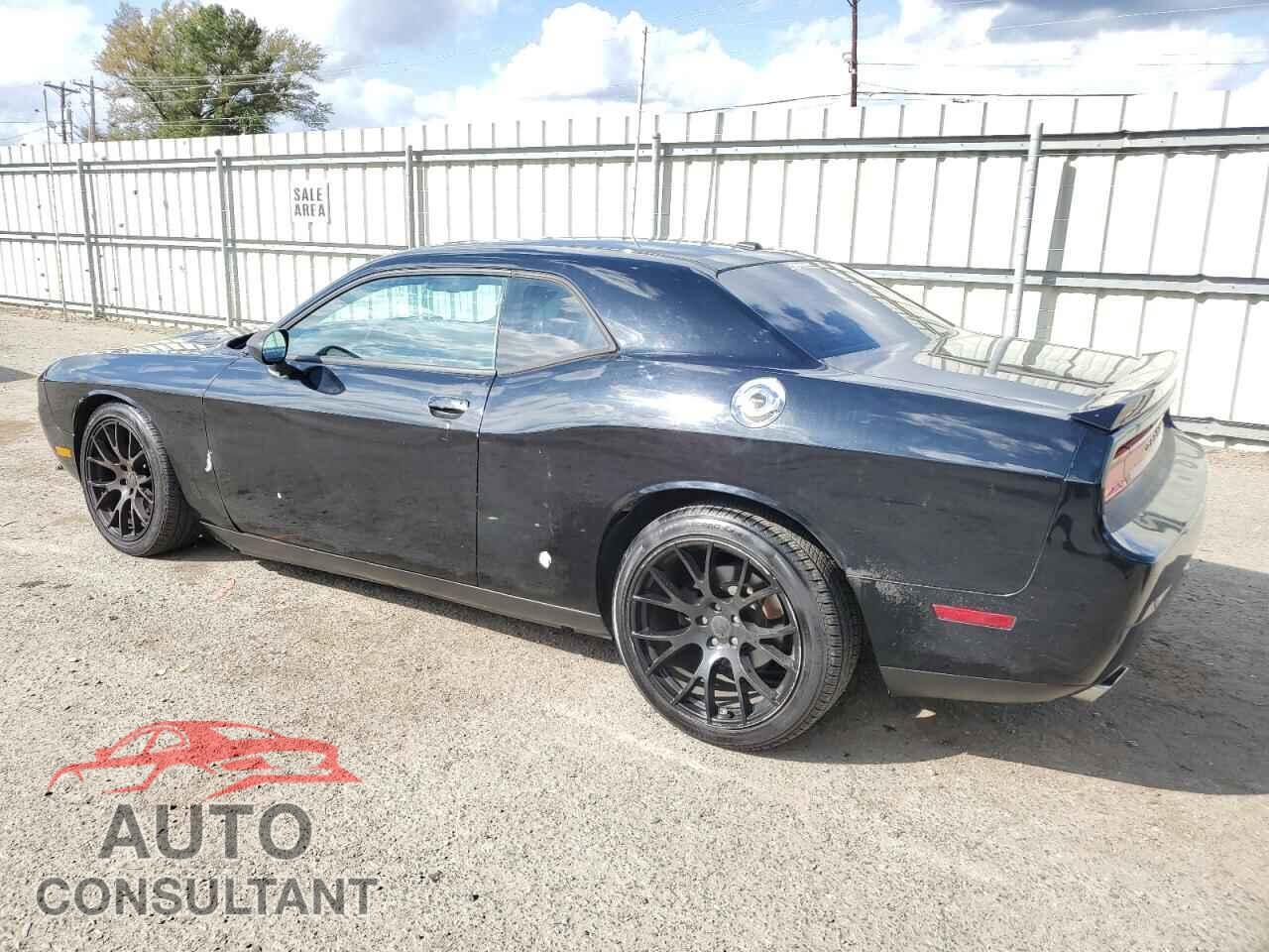 DODGE CHALLENGER 2013 - 2C3CDYBT3DH665987